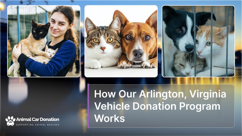 How Our Arlington, Virginia Vehicle Donation Program Works