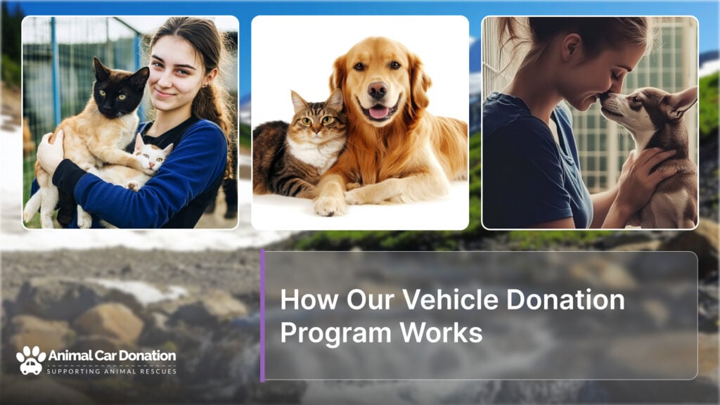 How Our Vehicle Donation Program Works