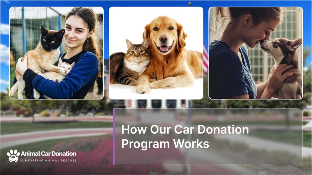 How Our Car Donation Program Works