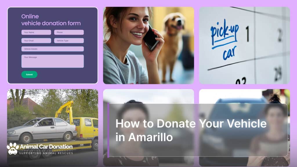 How to Donate Your Vehicle in Amarillo