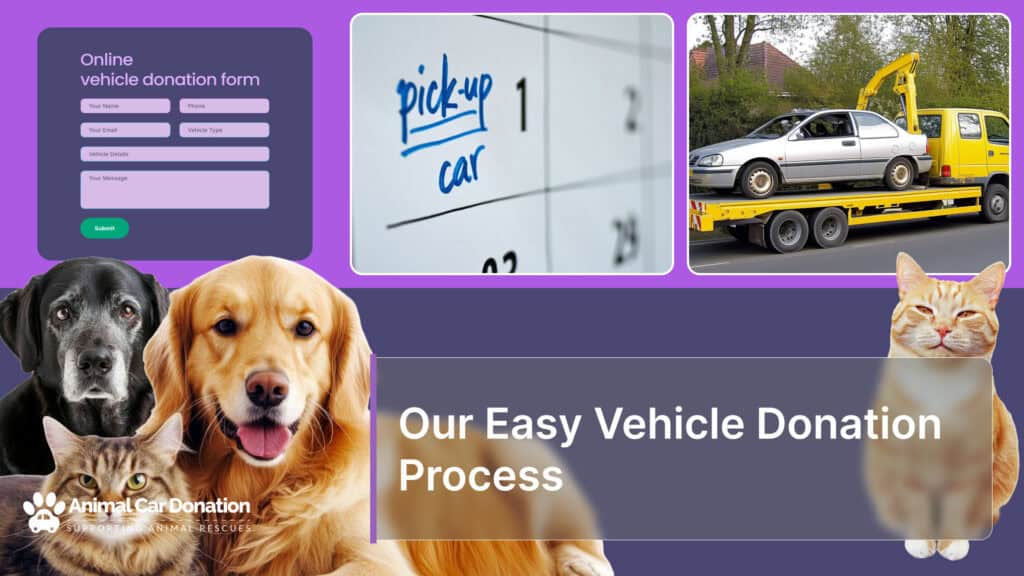 Our Easy Vehicle Donation Process