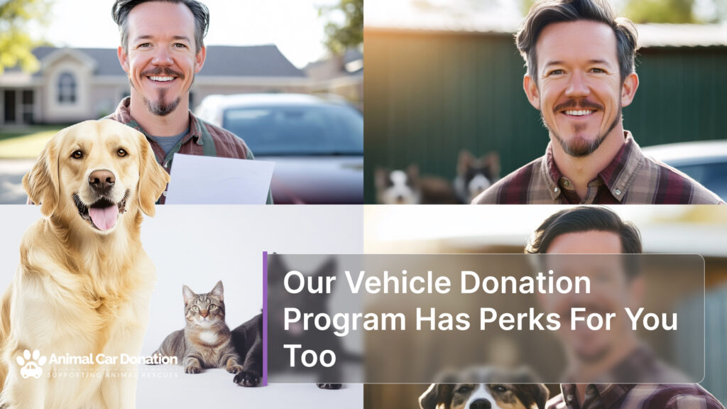 Our Vehicle Donation Program Has Perks For You Too