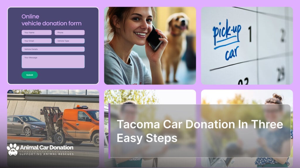 Tacoma Car Donation In Three Easy Steps