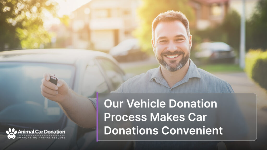 Our Vehicle Donation Process Makes Car Donations Convenient