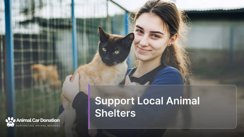 Support Local Animal Shelters