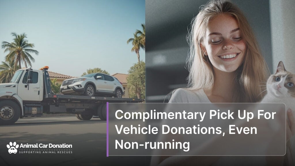 Complimentary Pick Up For Vehicle Donations, Even Non-running