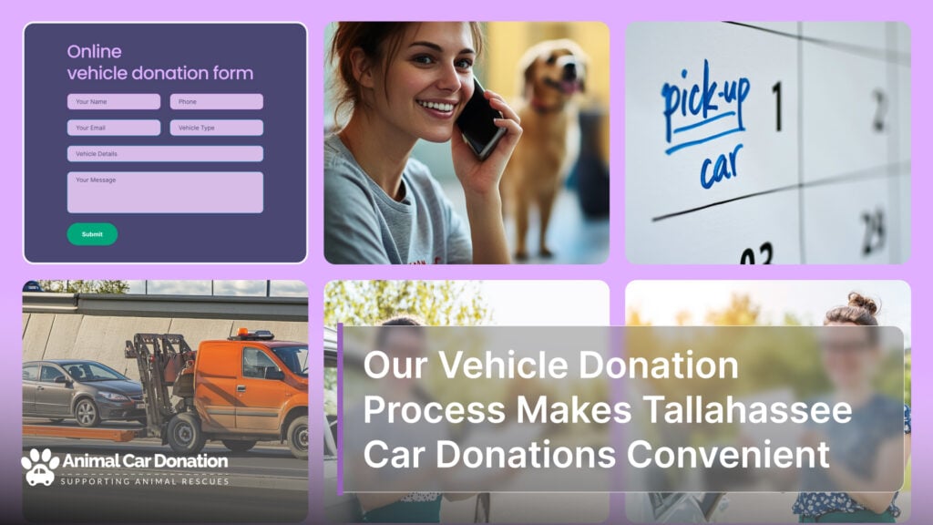 Our Vehicle Donation Process Makes Tallahassee Car Donations Convenient