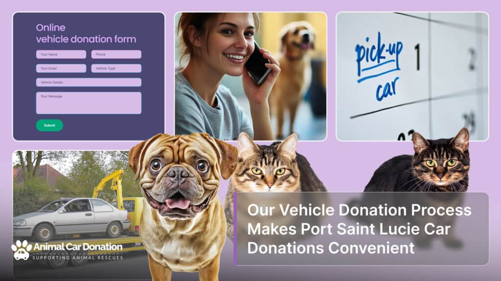 Our Vehicle Donation Process Makes Port Saint Lucie Car Donations Convenient