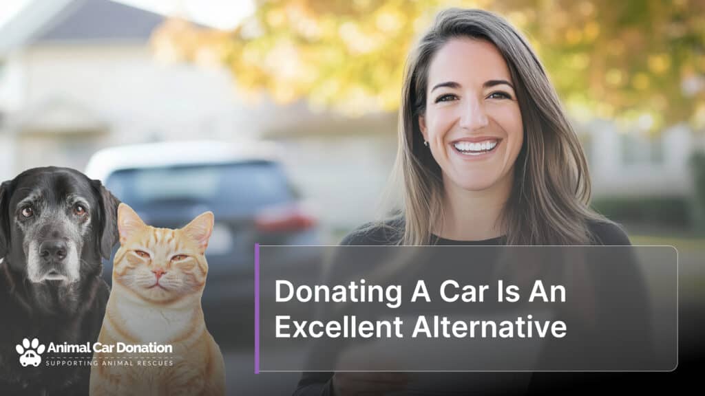 Donating A Car Is An Excellent Alternative