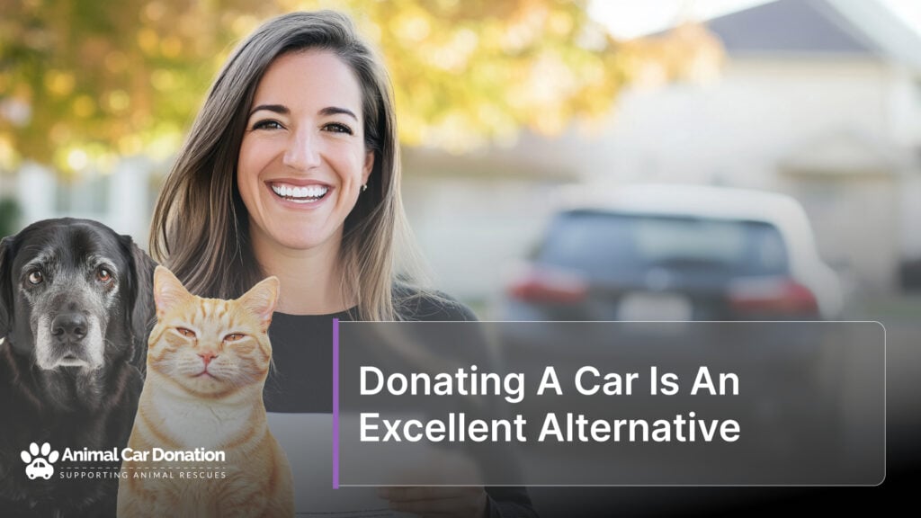 Donating A Car Is An Excellent Alternative