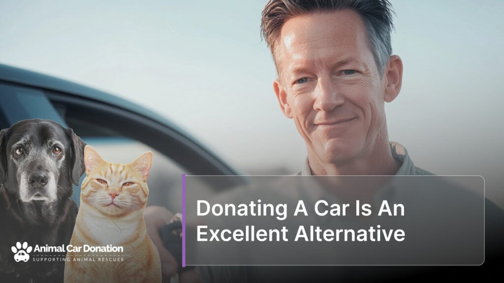 Donating A Car Is An Excellent Alternative