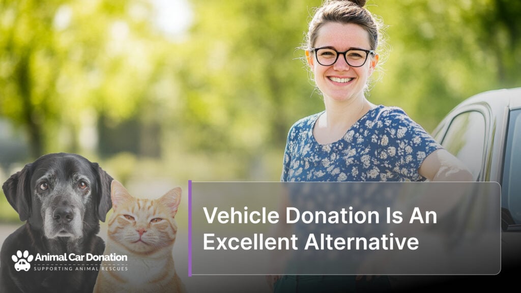 Vehicle Donation Is An Excellent Alternative