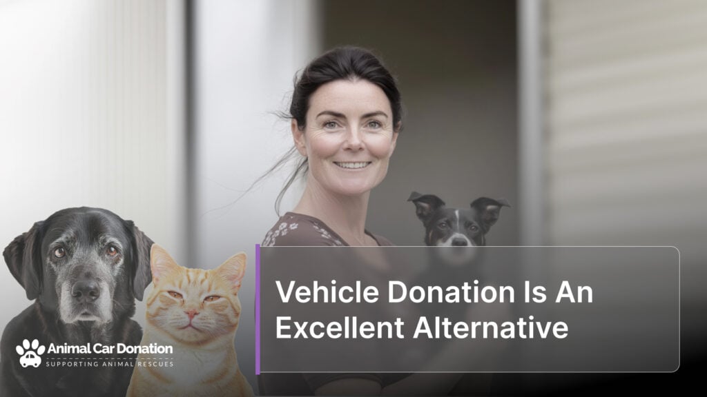 Vehicle Donation Is An Excellent Alternative