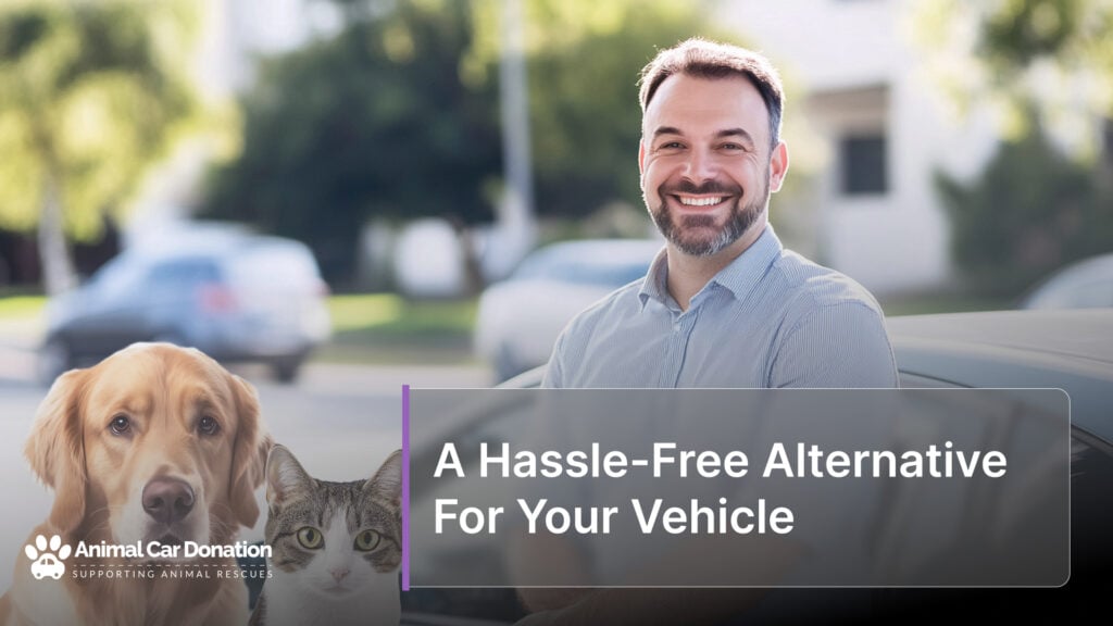 A Hassle-Free Alternative For Your Vehicle