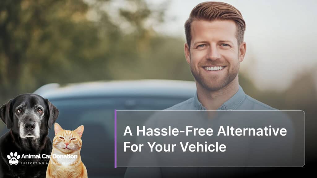 A Hassle-Free Alternative For Your Vehicle