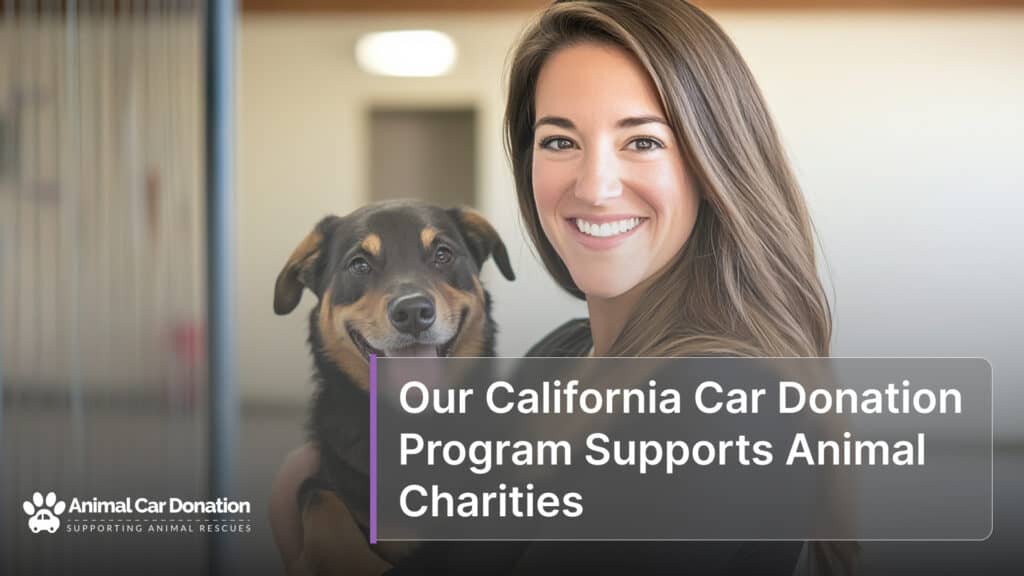 Our California Car Donation Program Supports Animal Charities