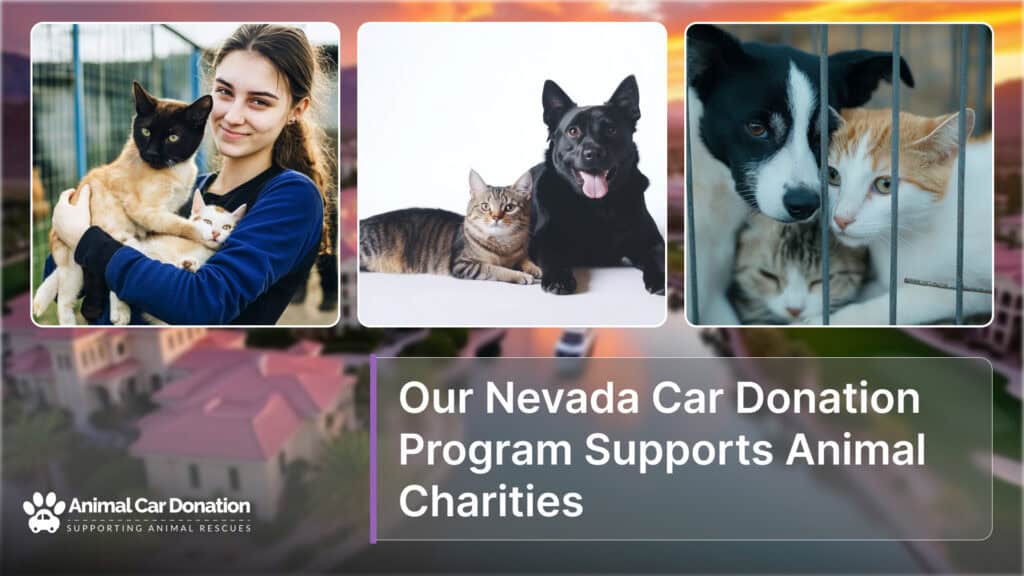 Our Nevada Car Donation Program Supports Animal Charities