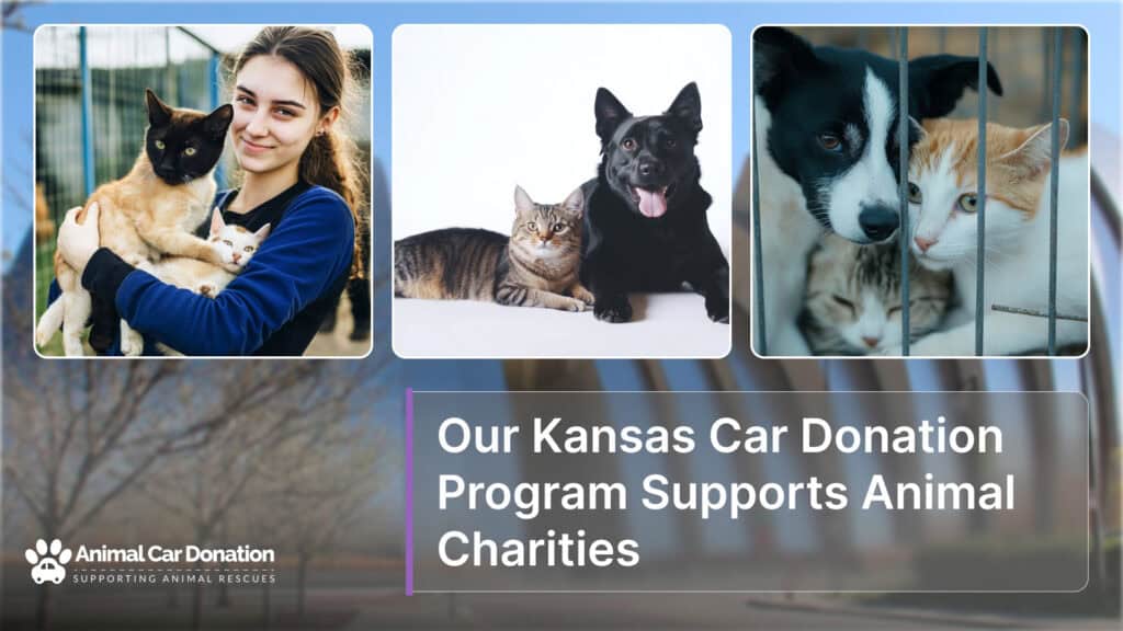 Our Kansas Car Donation Program Supports Animal Charities