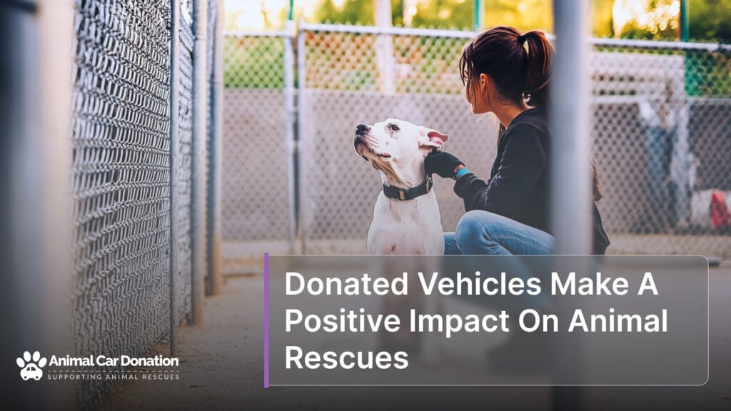 Donated Vehicles Make A Positive Impact On Animal Rescues