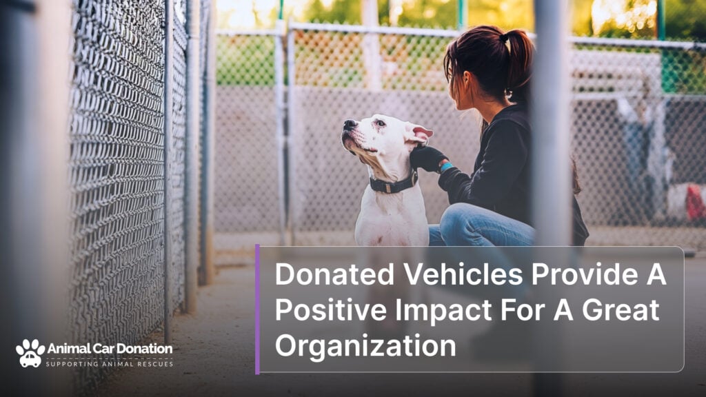 Donated Vehicles Provide A Positive Impact For A Great Organization