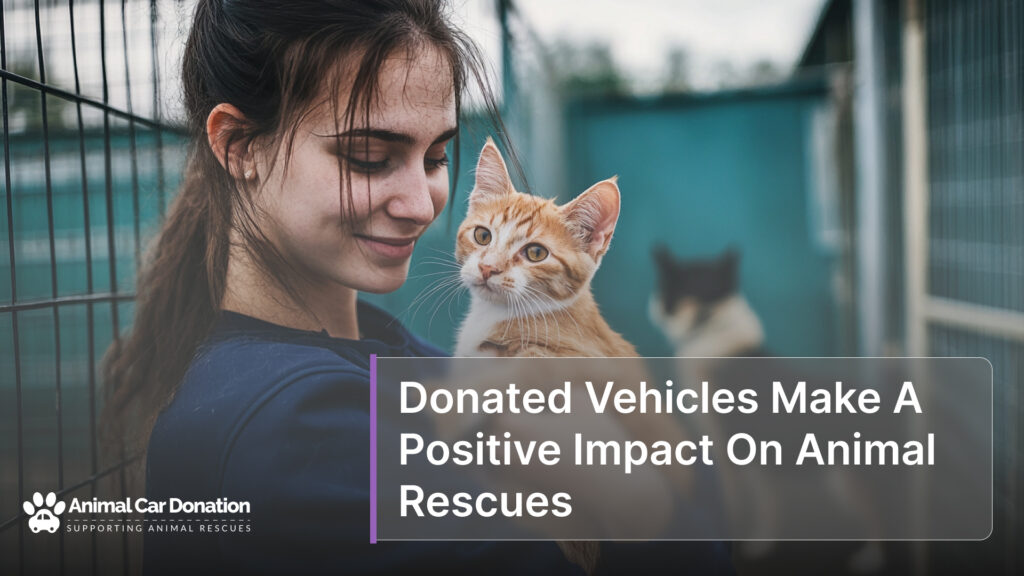 Donated Vehicles Make A Positive Impact On Animal Rescues