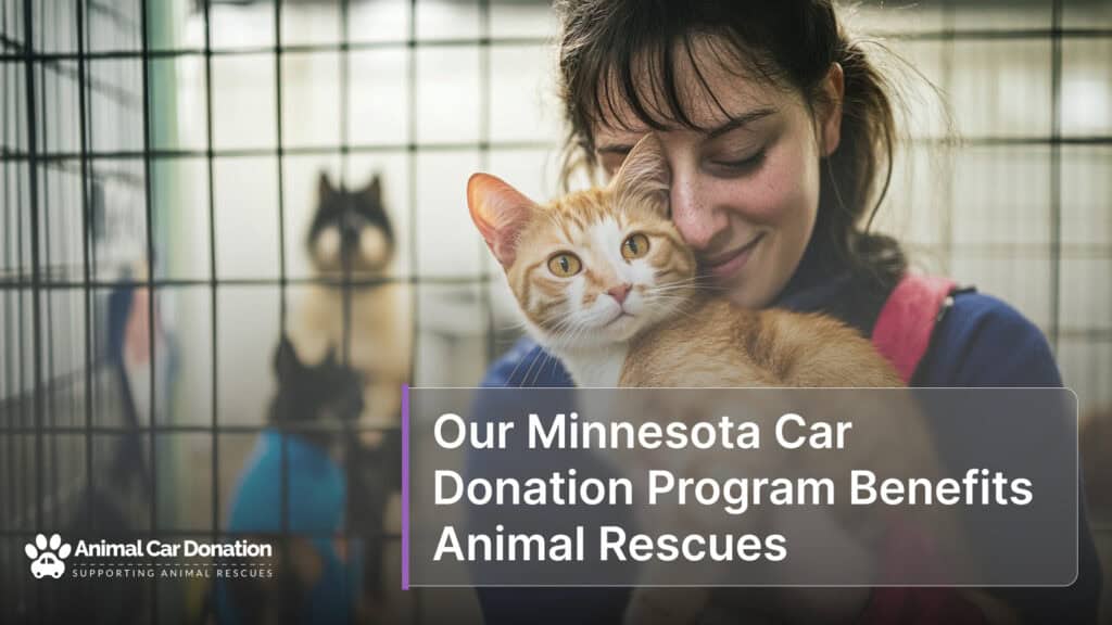 Our Minnesota Car Donation Program Benefits Animal Rescues