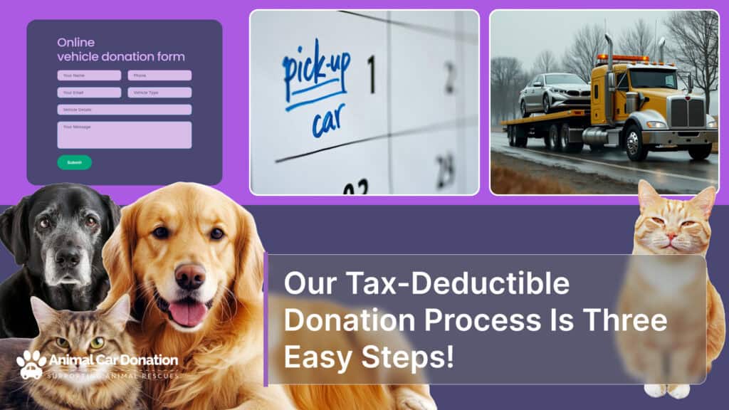 Our Tax-Deductible Donation Process Is Three Easy Steps!