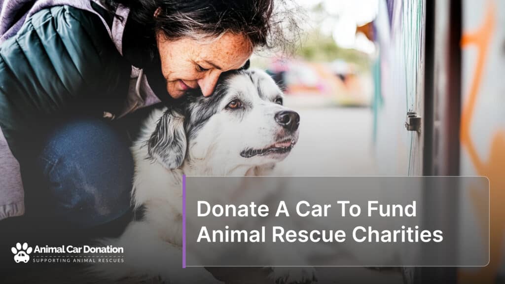 Donate A Car To Fund Animal Rescue Charities