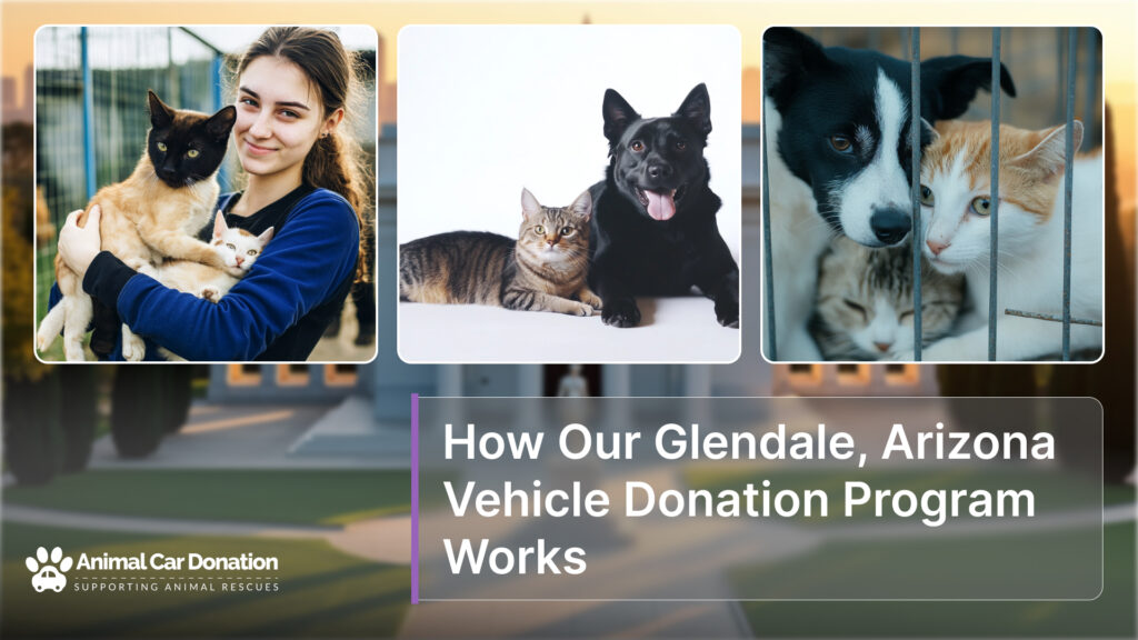 How Our Glendale, Arizona Vehicle Donation Program Works