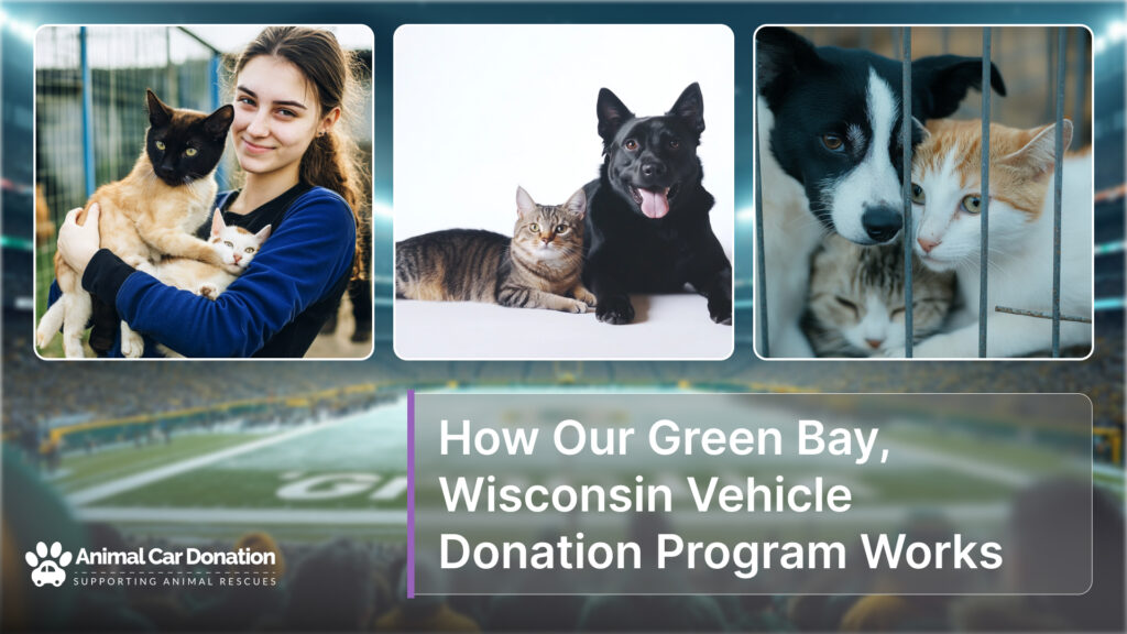 How Our Green Bay, Wisconsin Vehicle Donation Program Works