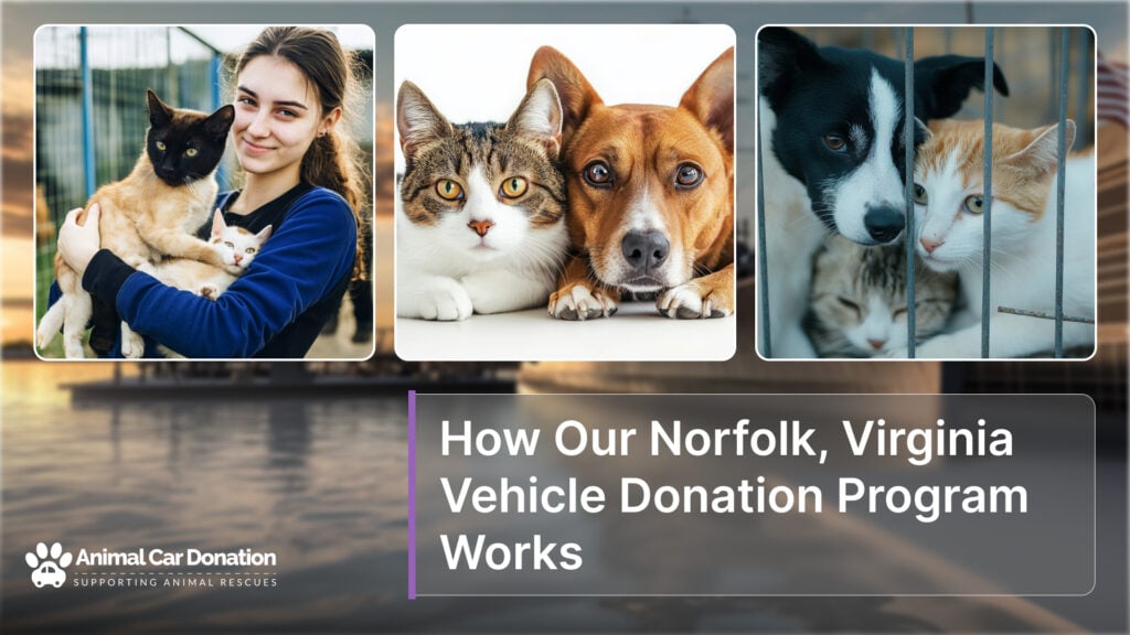 How Our Norfolk, Virginia Vehicle Donation Program Works