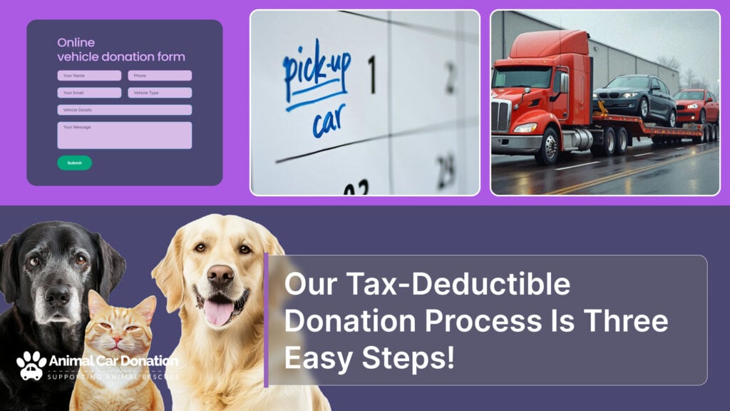 Our Tax-Deductible Donation Process Is Three Easy Steps!