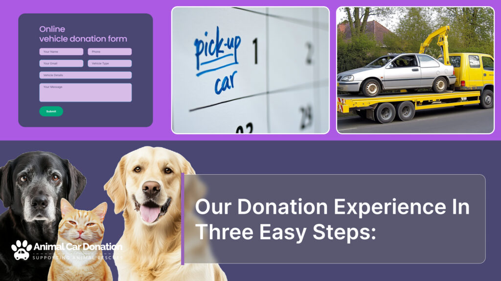 Our Donation Experience In Three Easy Steps