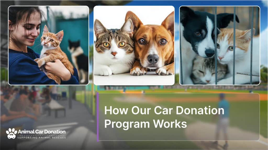 How Our Car Donation Program Works