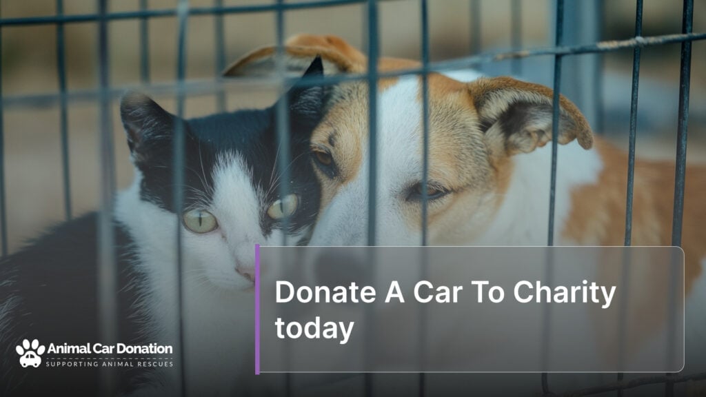 Donate A Car To Charity today