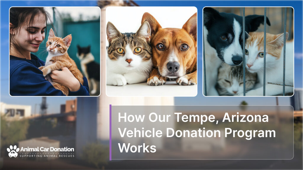 How Our Tempe, Arizona Vehicle Donation Program Works