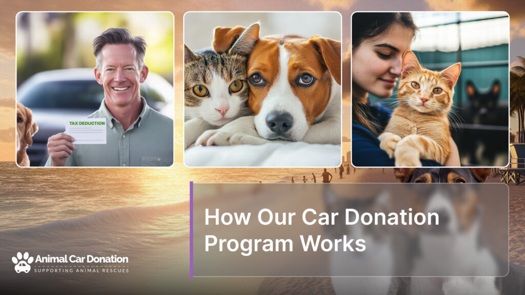 How Our Car Donation Program Works