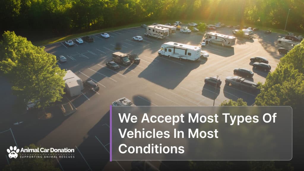 We Accept Most Types Of Vehicles In Most Conditions