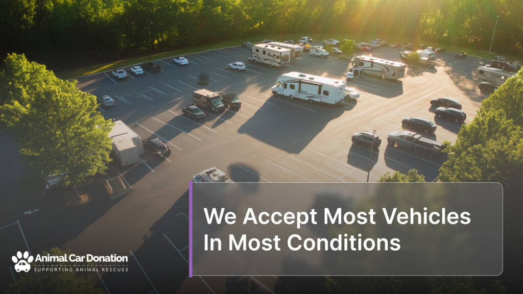 We Accept Most Vehicles In Most Conditions