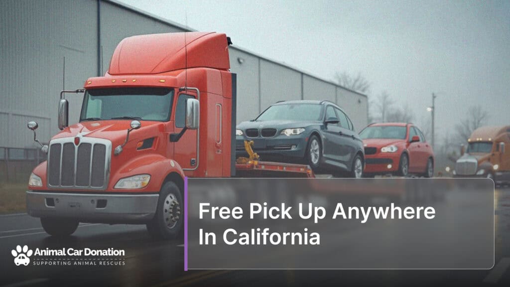 Free Pick Up Anywhere In California