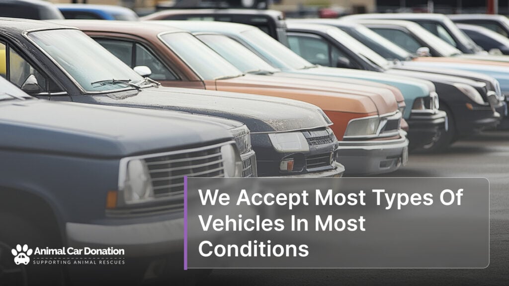 We Accept Most Types Of Vehicles In Most Conditions