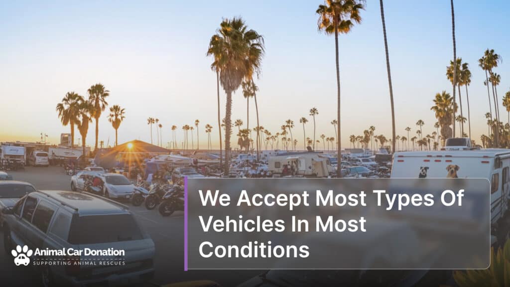 We Accept Most Types Of Vehicles In Most Conditions