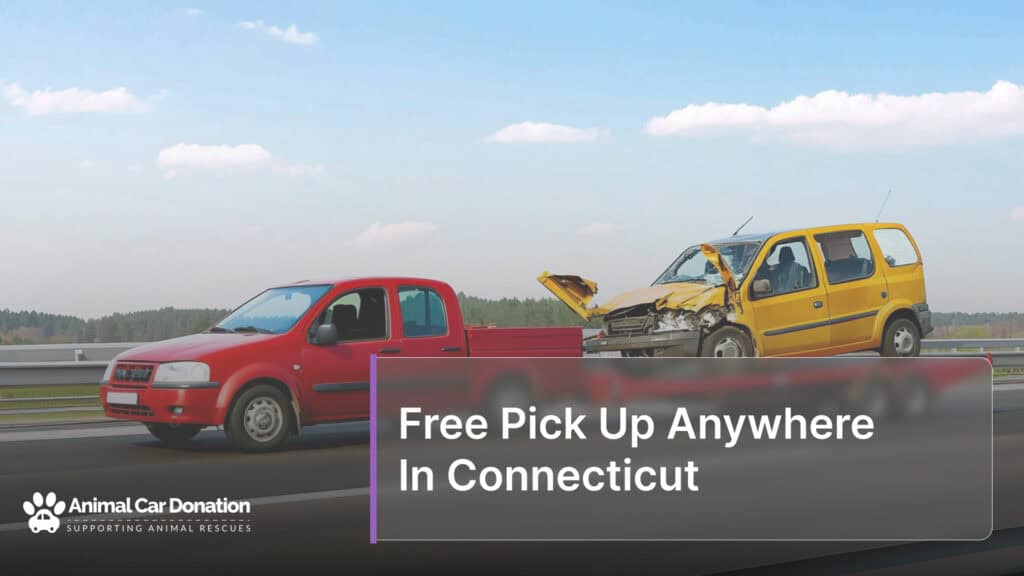 Free Pick Up Anywhere In Connecticut