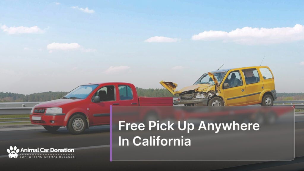 Free Pick Up Anywhere In California