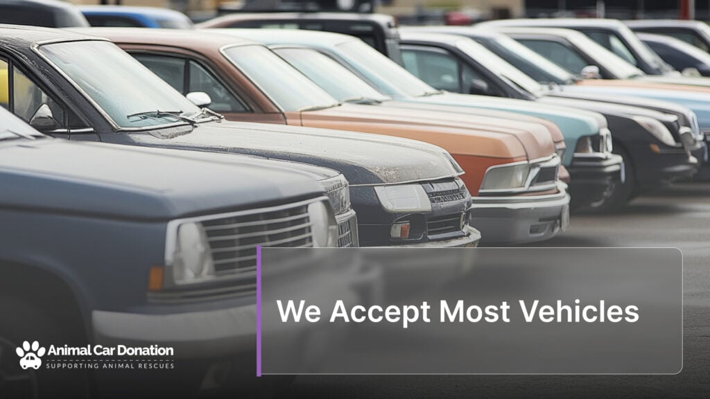 We Accept Most Vehicles