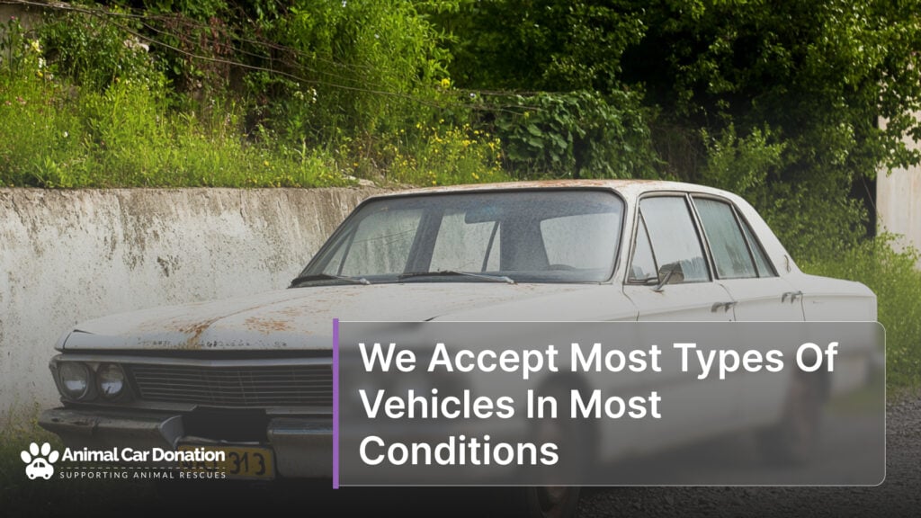 We Accept Most Types Of Vehicles In Most Conditions