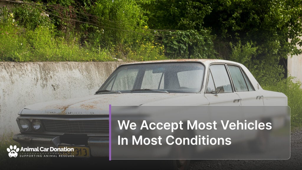 We Accept Most Vehicles In Most Conditions