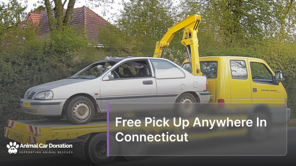 Free Pick Up Anywhere In Connecticut