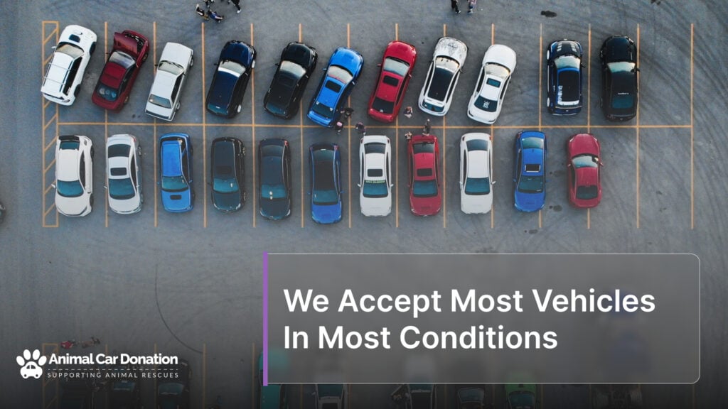 We Accept Most Vehicles In Most Conditions