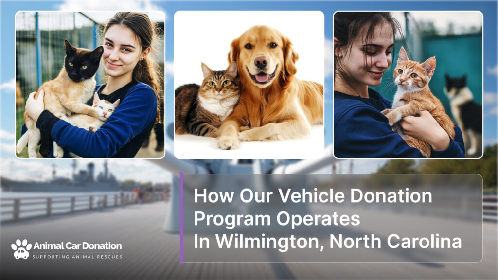 How Our Vehicle Donation Program Operates In Wilmington, North Carolina